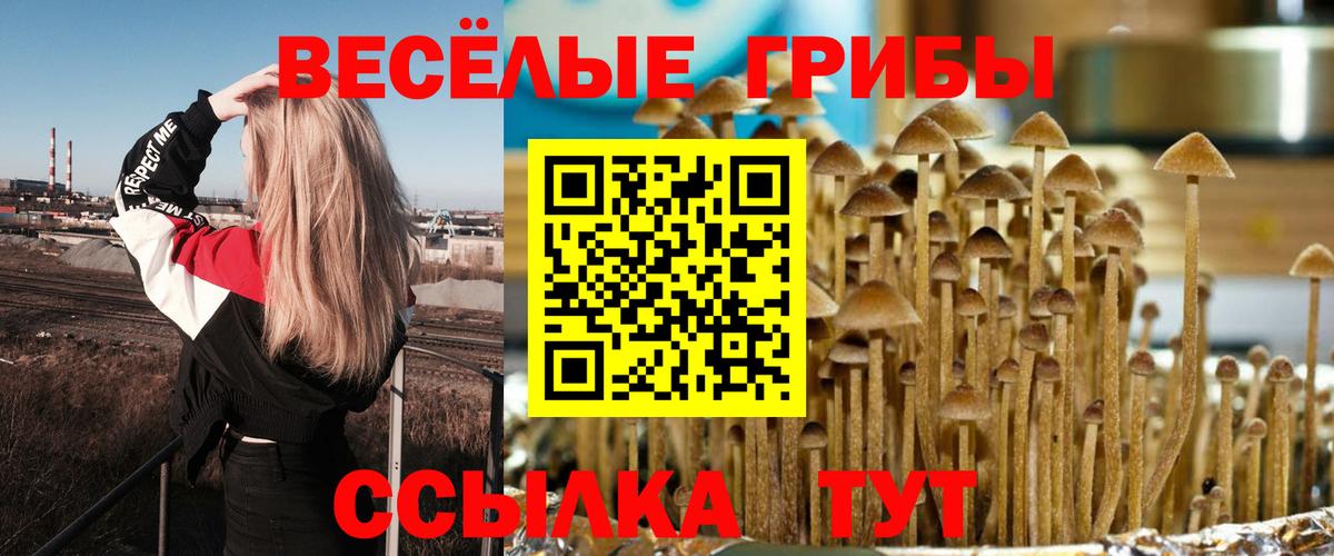 Псилоцибиновые грибы Magic Shrooms Нефтекамск