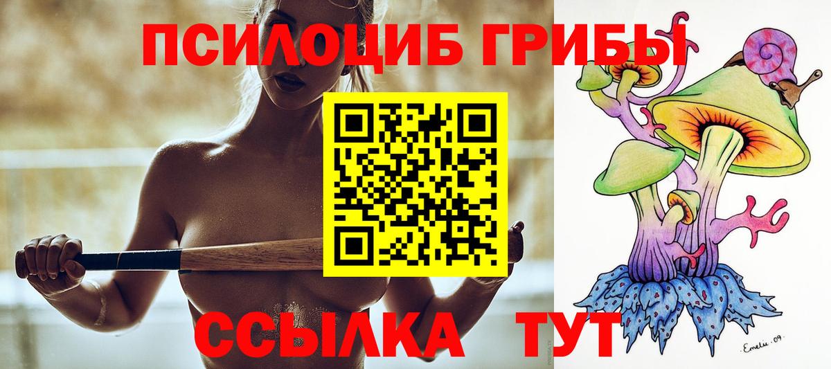 Галлюциногенные грибы Magic Shrooms  купить наркотик  Псилоцибиновые грибы мухоморы  Нефтекамск  Вход с VPN 
